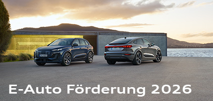 2 Q6 e-tron von hinten und vorne vor einem See